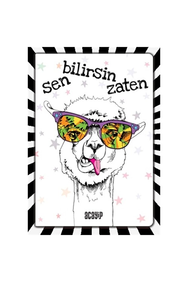 Havalı Panda Defter - Çılgın Defterler -