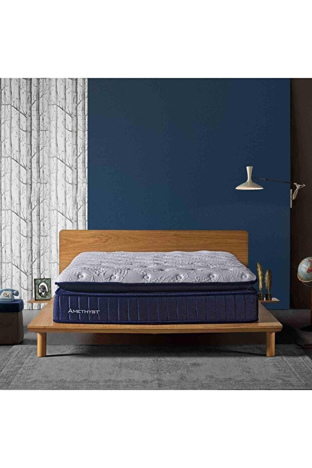 Amethyst - Visco Jel - 5