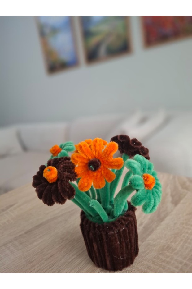 Mini Şönil Saksı Çiçeği - 3