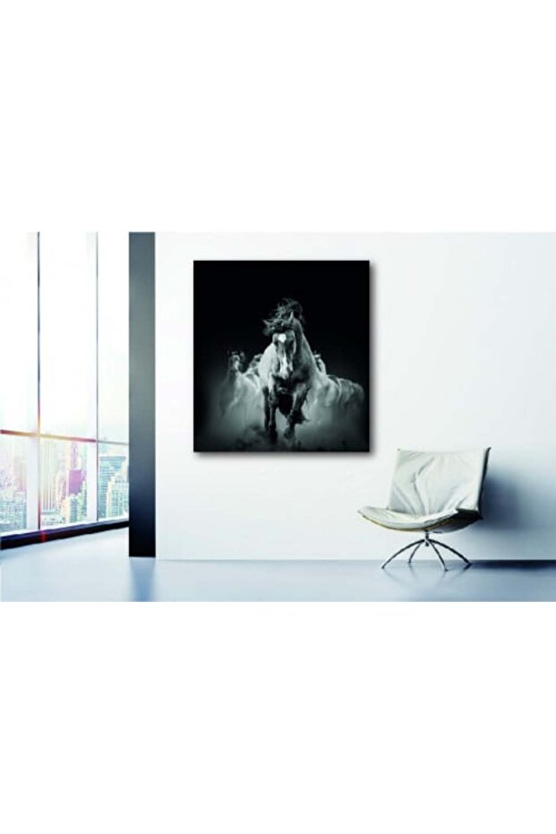 الموديل: 425 - 1