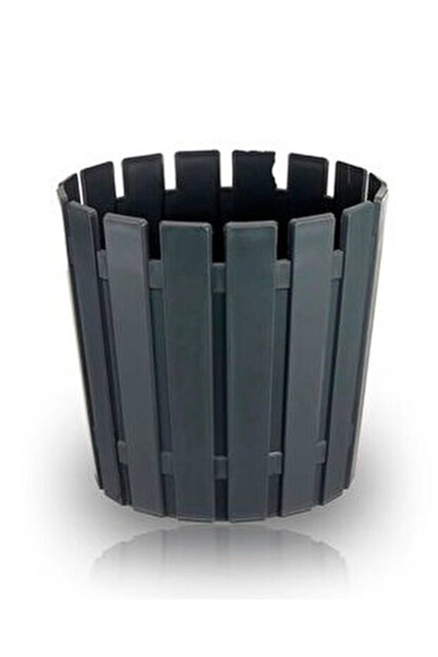 3LÜ TURUVA SAKSI - 3