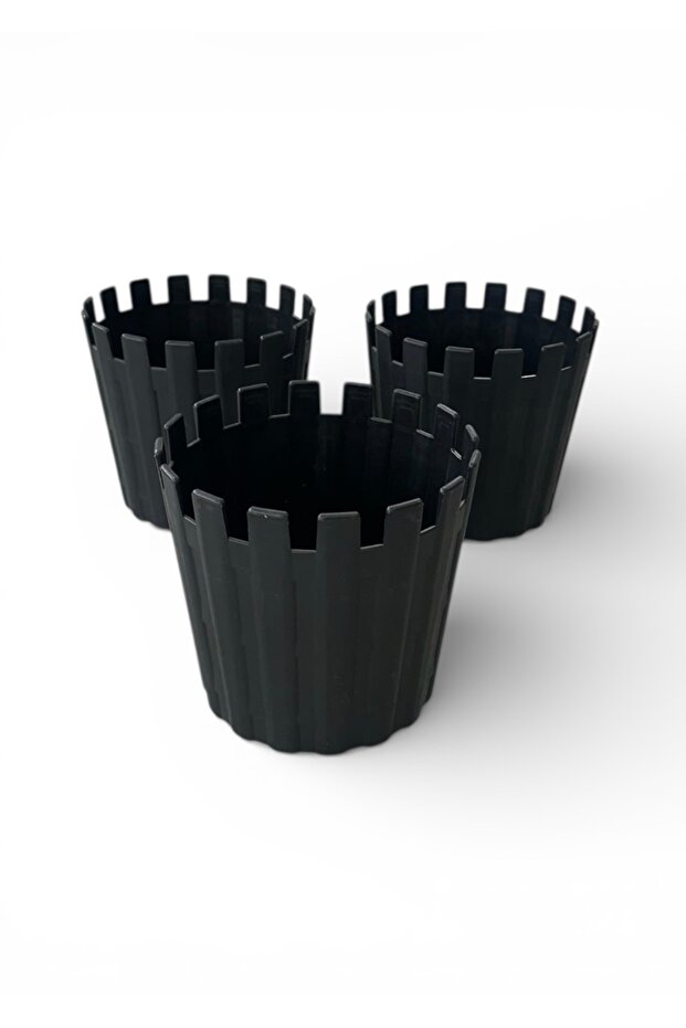 3LÜ TURUVA SAKSI - 2