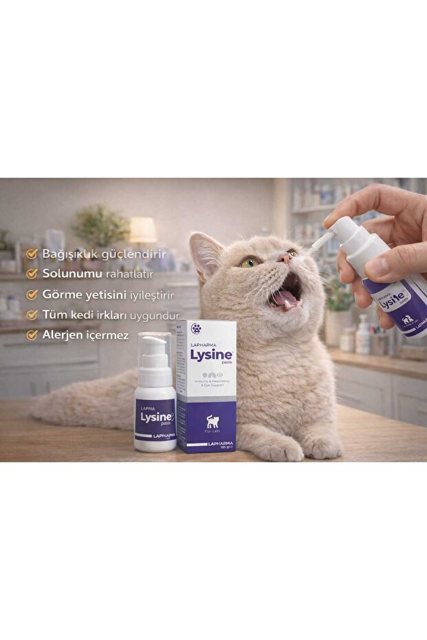 LYSİNE MALT KEDİ