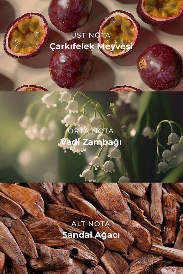 Nocturne Man PARFÜM - 3