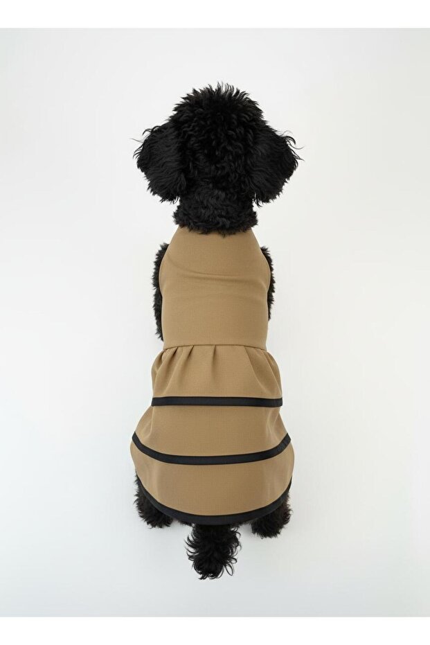 Cat Dog Dress Khaki Color Black Piped Detail