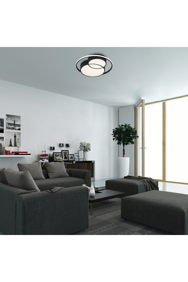 Zenith Ceiling Light - 2