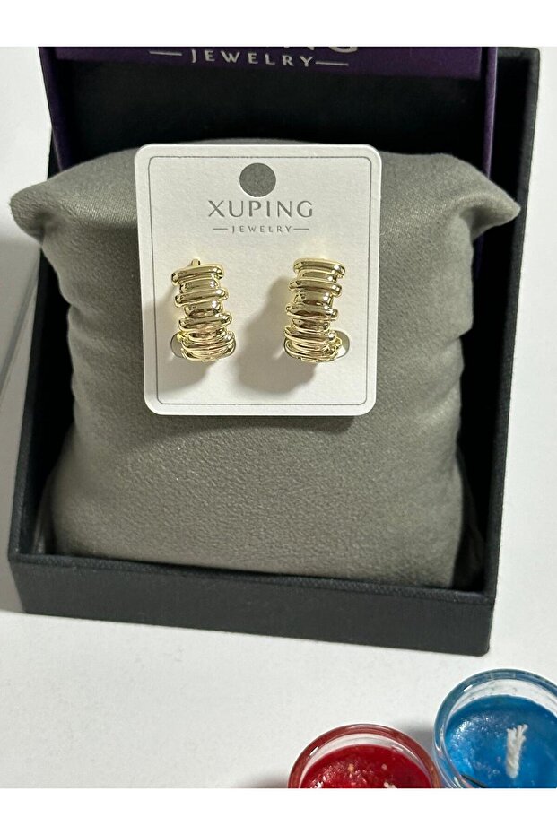 Striped Oval Luxury Design Steel Earring