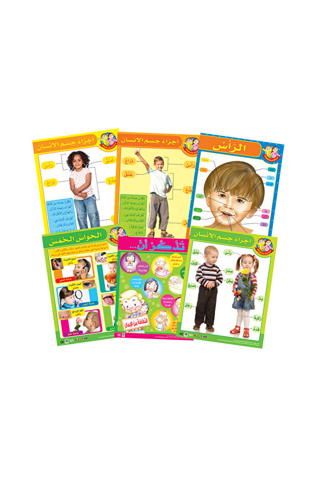 My Body & My 5 Senses (6 Wall Charts) - Educational Wall Chart Pack in Arabic