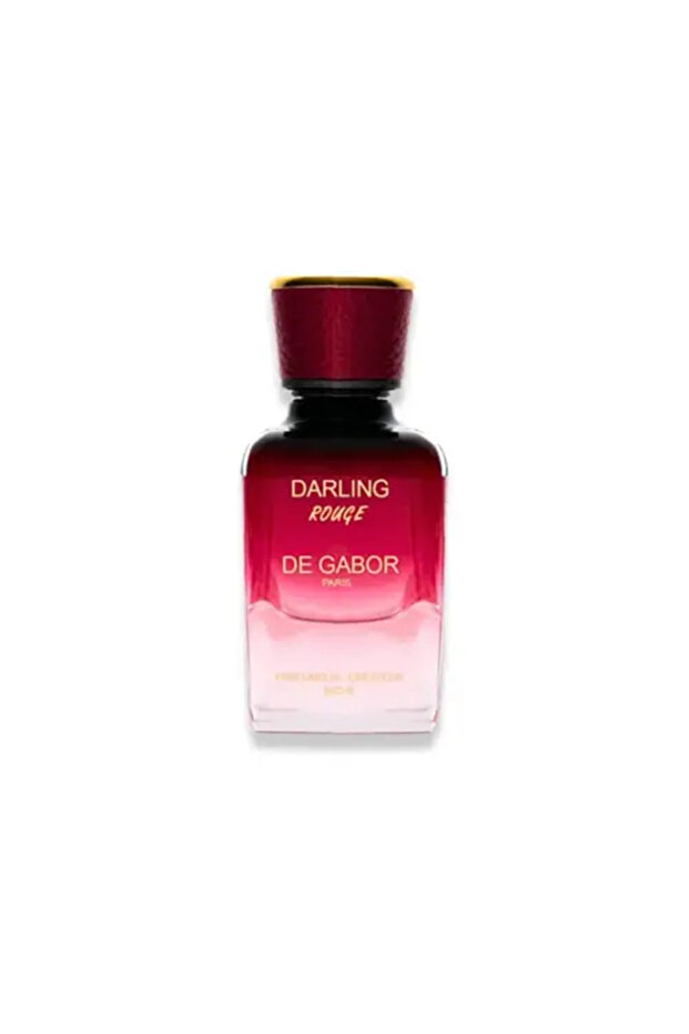 رائد الفضاء دي غابور - 2