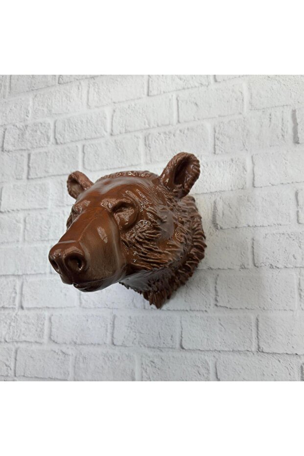 Brown Bear - Lisinya - 3