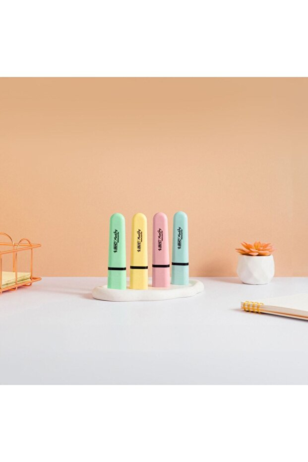 Evidentiator BIC Roz Pastel - 5