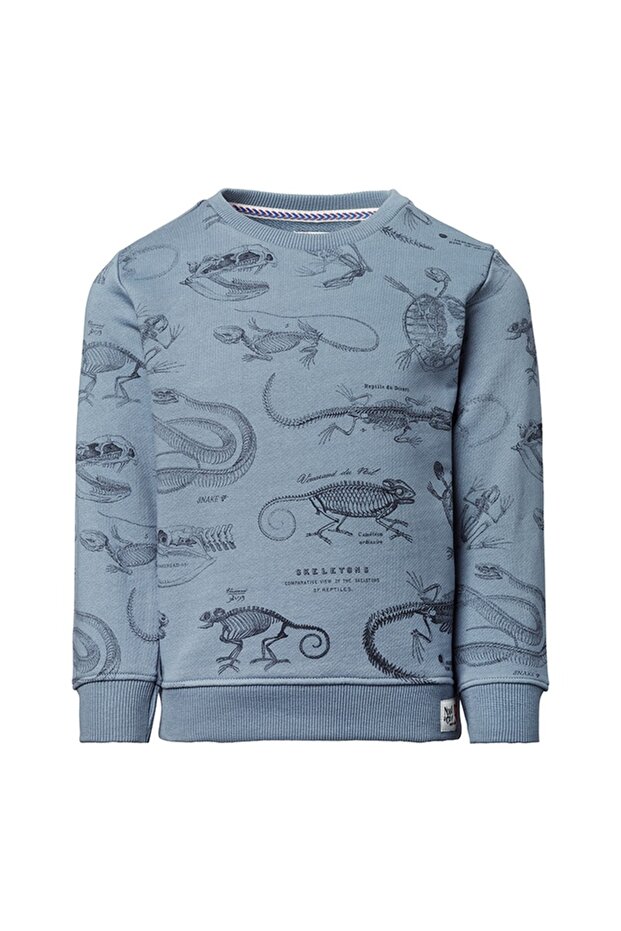 Bluza baieti Lemsford