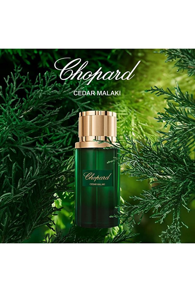 Chopard, Cedar Malaki, Eau De Parfum, Unisex, 80 ml - 5