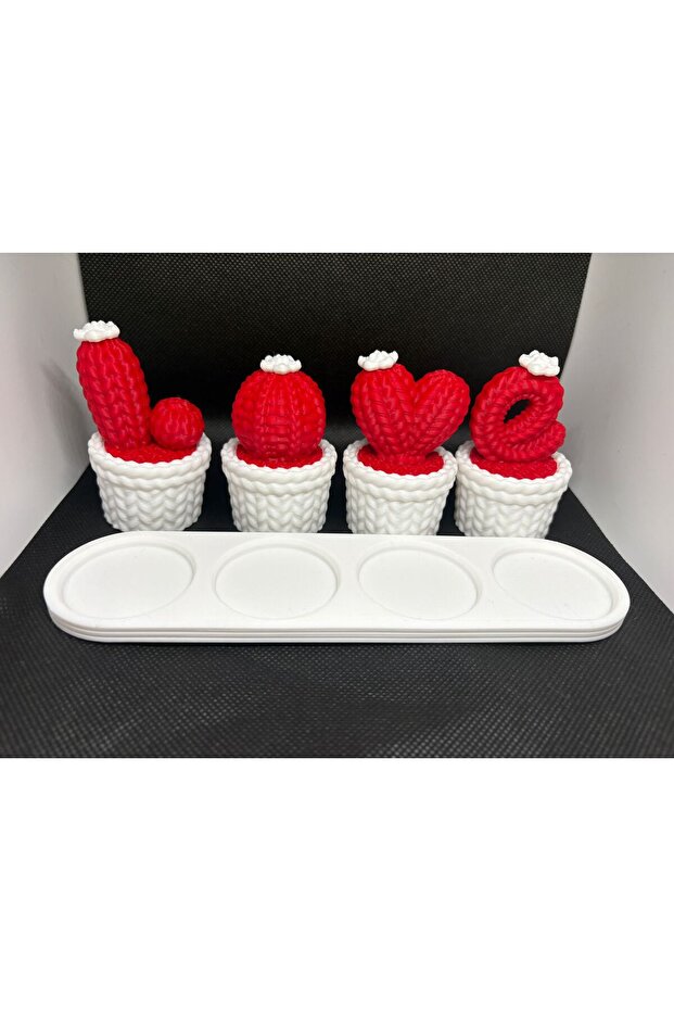 Mini Kaktüs Seti - 2