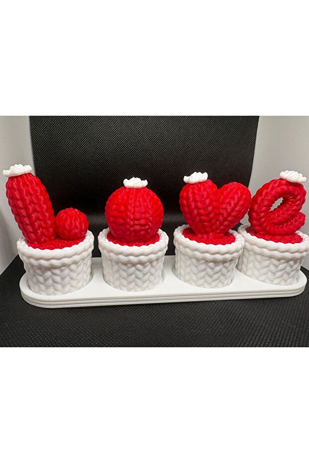 Mini Kaktüs Seti - 3