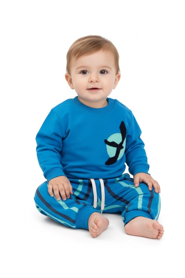 Baby Boy Seasonal Seagull Embroidered Sweatshirt, Striped Pants 2-Piece Bottom Top Set