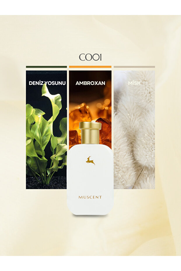 C001 Mega Amare Parfüm 50 ml. - 1