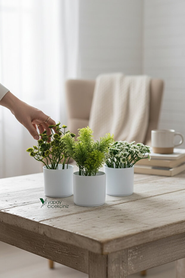 Set of 3 Artificial Flowers in Mini White Pots