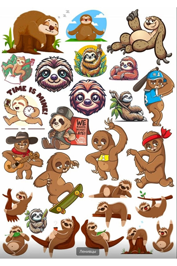 Koala Sticker Set - 2 Designs