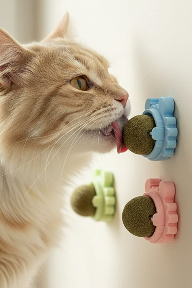 Figured Catnip Play Ball – Fun Cat Toy with Catnip