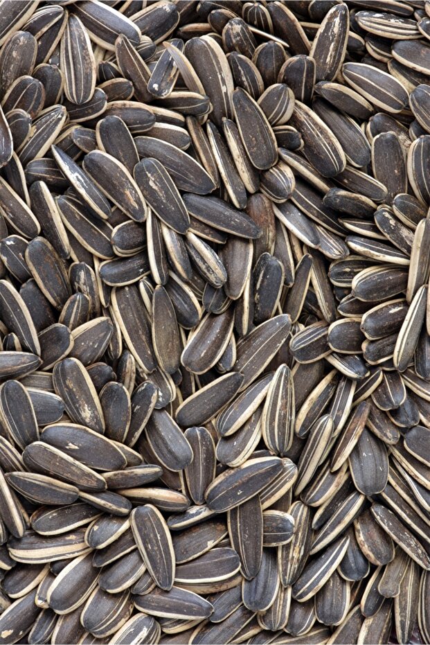 Ayçekirdeği 500 gr - 6