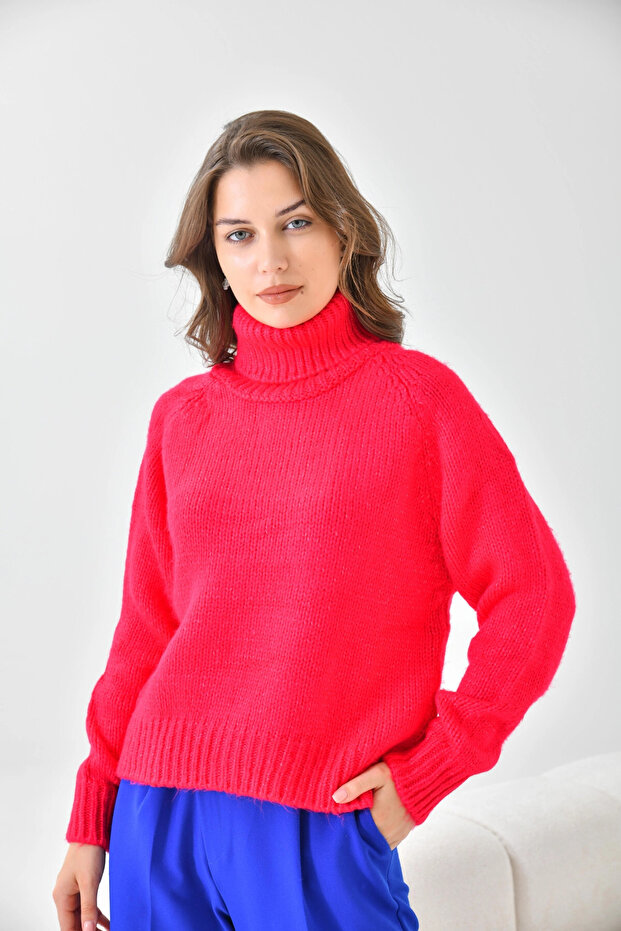 Women's Turtleneck Ribbed Knit Sweater 223006