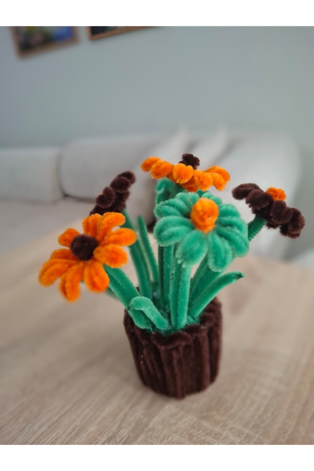 Mini Şönil Saksı Çiçeği - 2