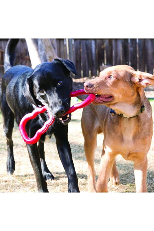 Dog Pull-Pull Toy 33 cm - 2