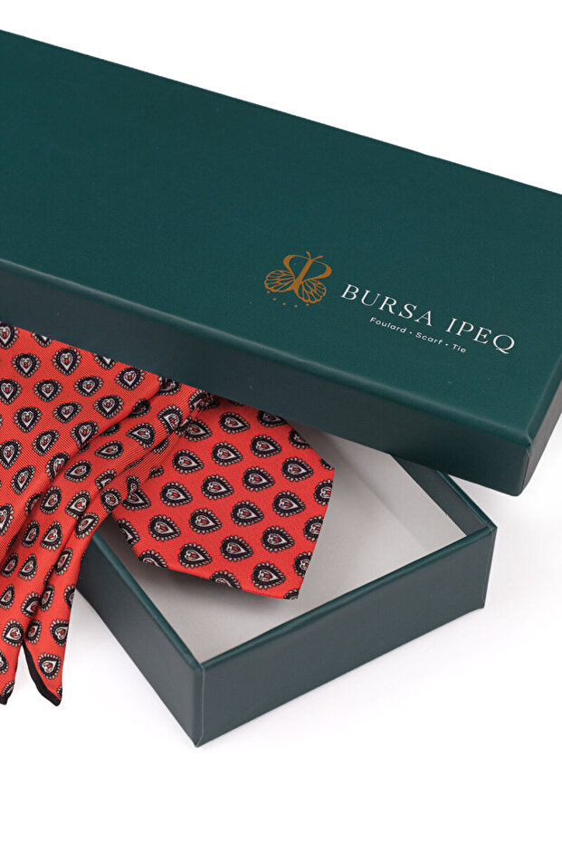 مجموعة ربطة عنق حريرية منقوشة باللون الأحمر - 4