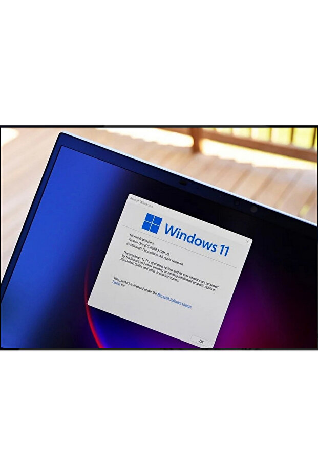Windows 11 Pro - 2