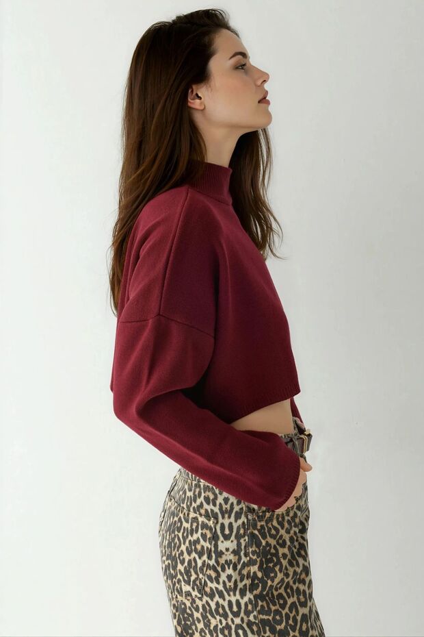 سترة قصيرة ذات ياقة عالية - 2