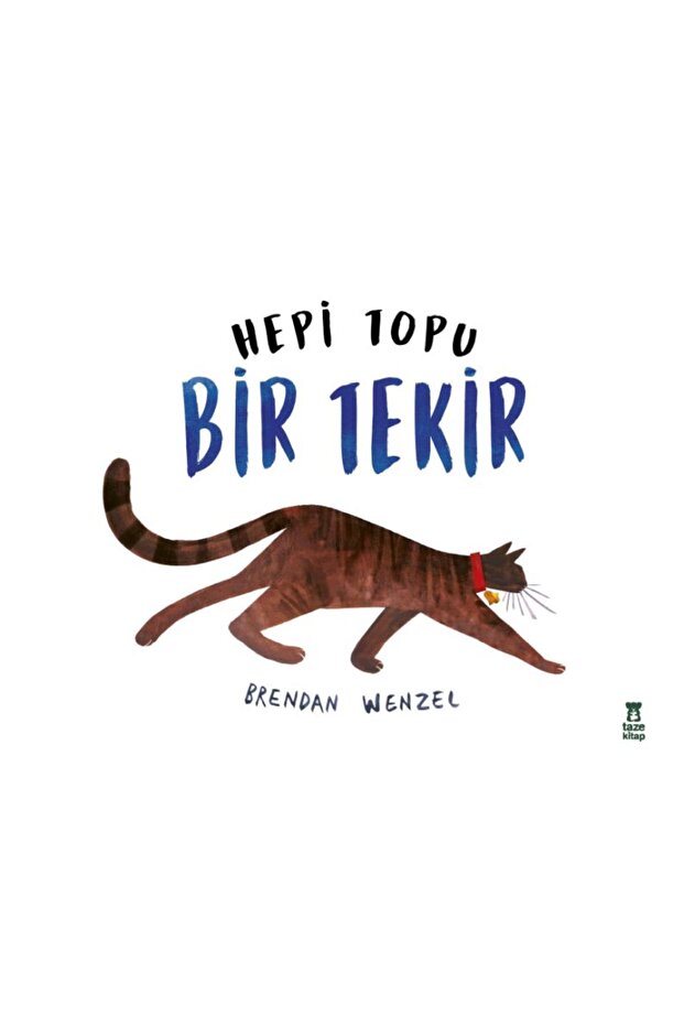 Hepi Topu Bir Tekir
