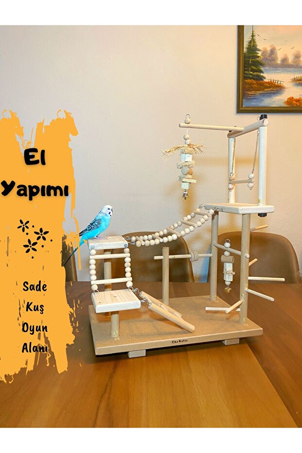 منطقة لعب طيور الببغاء البسيطة على سطح الطاولة