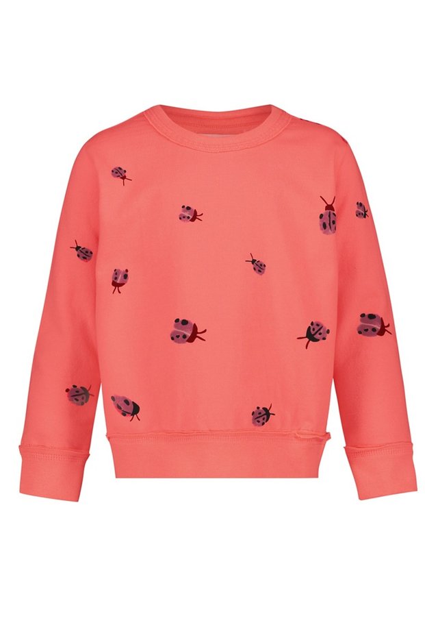 Cocoa ladybug sweater