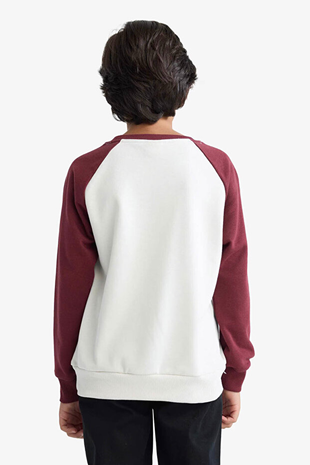 قصة فضفاضة سويت شيرت للأولاد مطرز برقبة دائرية F2707A8/ER136 - 4