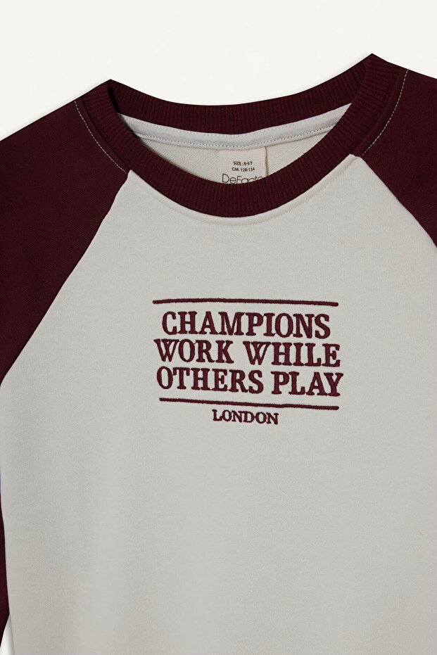 قصة فضفاضة سويت شيرت للأولاد مطرز برقبة دائرية F2707A8/ER136 - 6