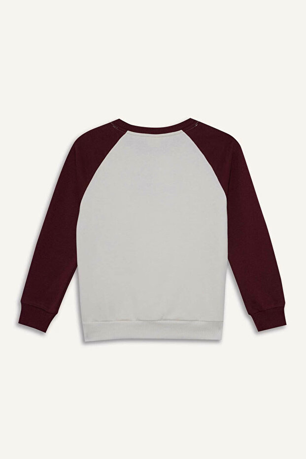 قصة فضفاضة سويت شيرت للأولاد مطرز برقبة دائرية F2707A8/ER136 - 7