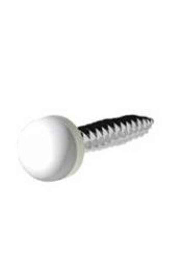 Screw with plastic cap , 20 pcs - 1