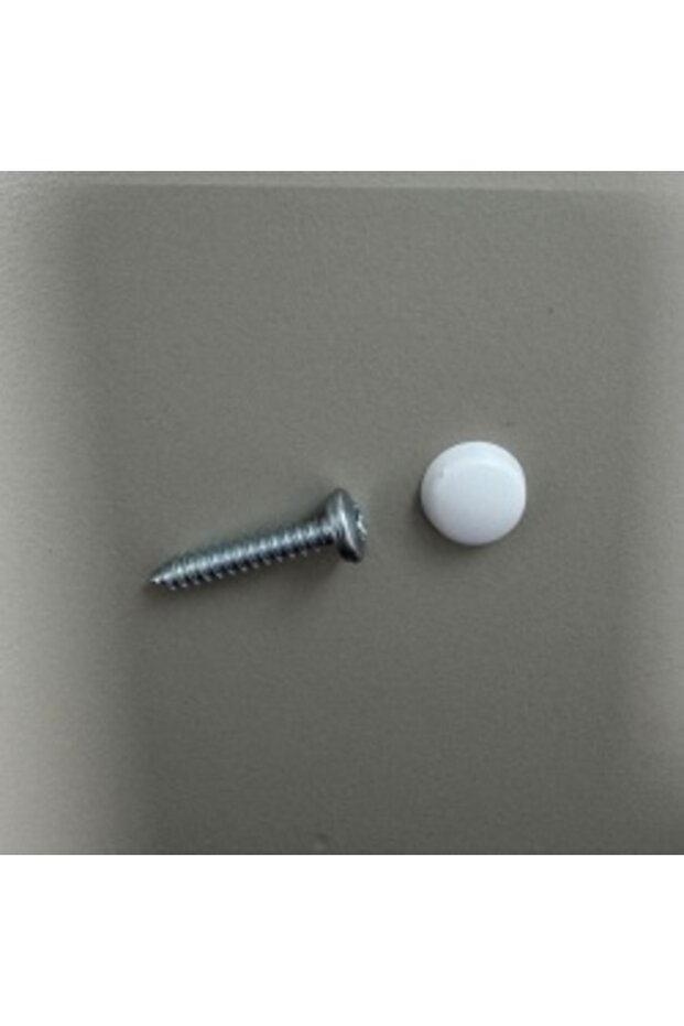 Screw with plastic cap , 20 pcs - 3