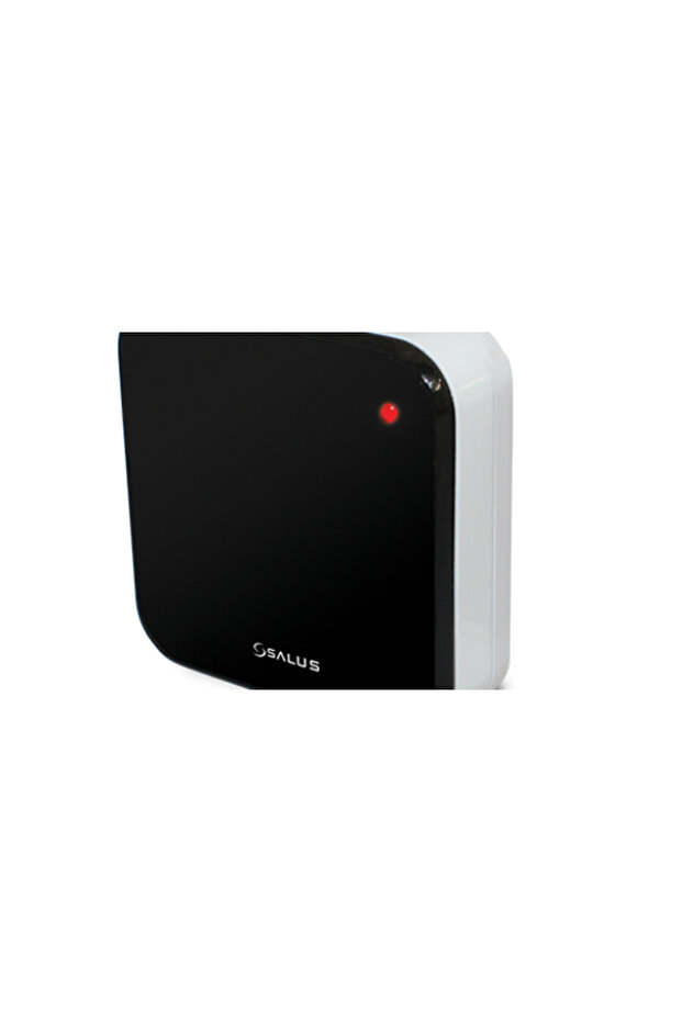 Additional Temperature Sensor for iT500 (IT300) - 1