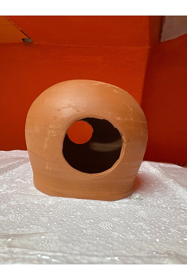 Ciklet Yuvalığı - 1