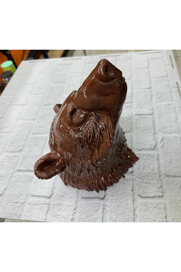 Brown Bear - Lisinya - 5