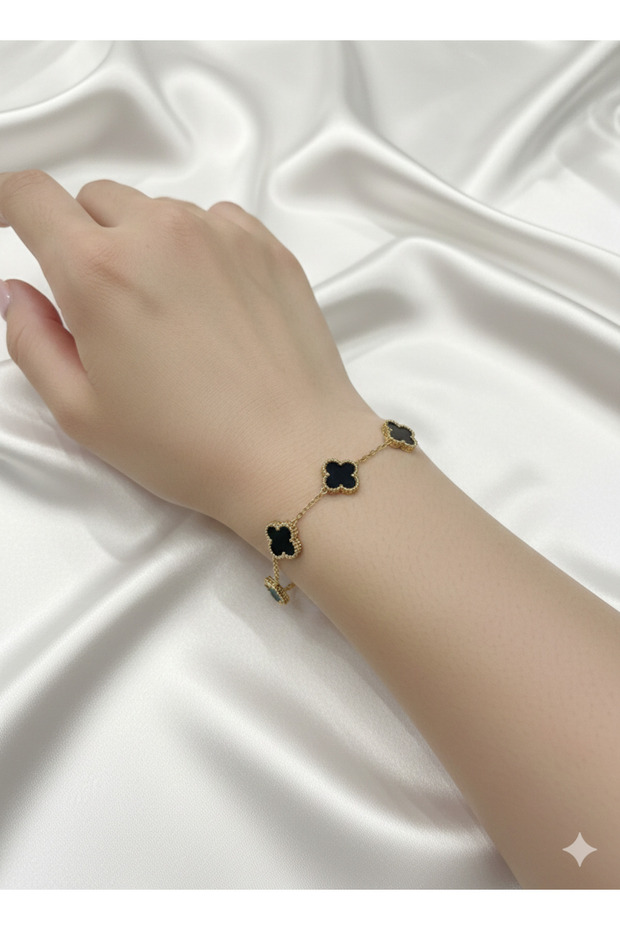 سوار فان كليف الأسود - 2