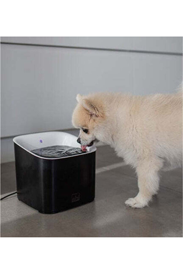 Manoa Drinking Fountain for Dogs - WHITE/20X20X18CM