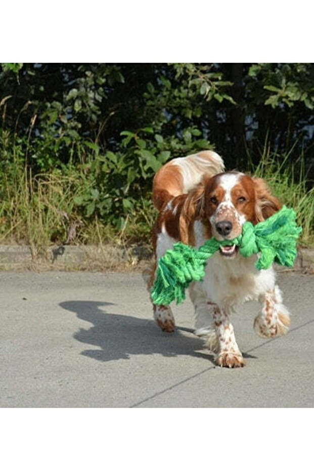 Bite Me 'Do You Even Floss Dawg' Playing Rope - GREEN/40CM