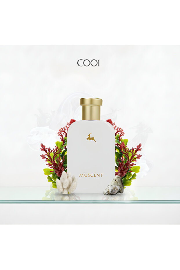 C001 Mega Amare Parfüm 50 ml. - 2