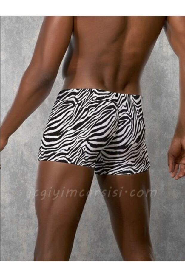 Erkek Boxer 1814 - 2