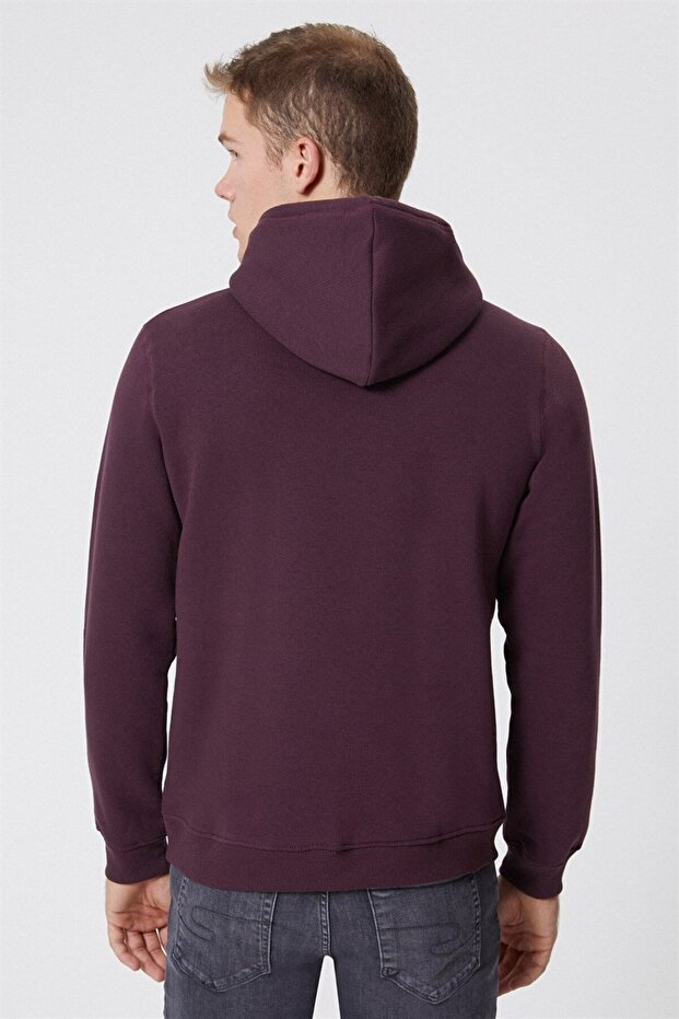 Gregory Erkek Kapüşonlu Sweatshirt Mürdüm - 4