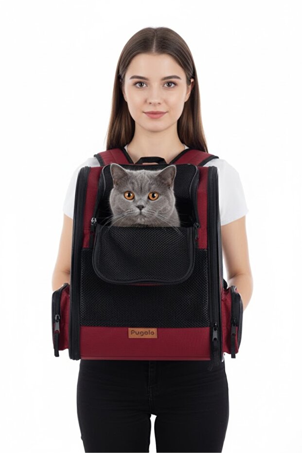 AirMove Premium Kedi Köpek Taşıma Çantası | Silinebilir | Yırtılmaz Fileli | Bükülmez Gövde - 4