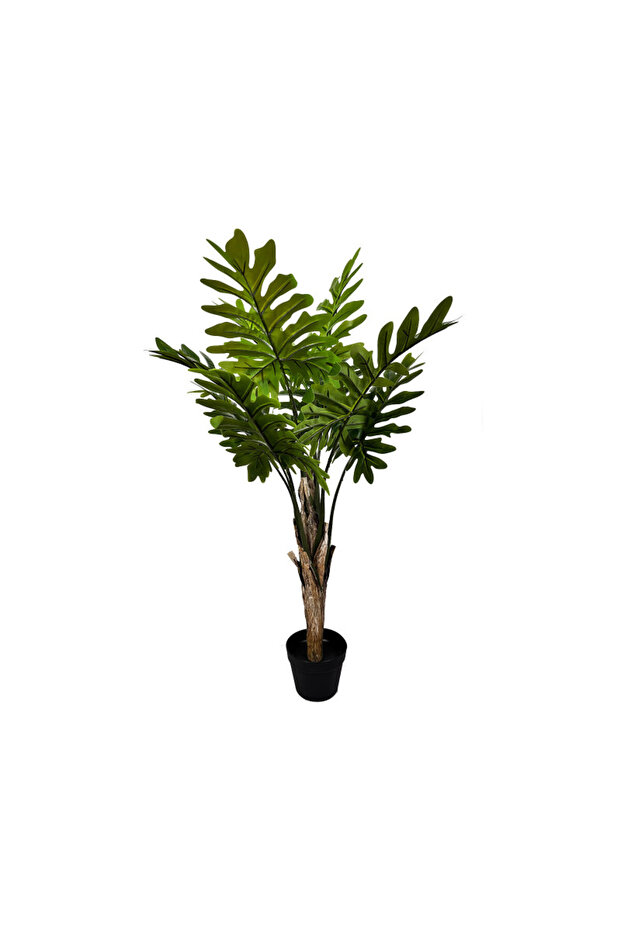 Philodendron 130cm - 1